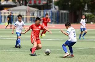 国足备受期,待之谜揭晓,星力捕鱼游戏平台,星力捕鱼平台,星力十代捕鱼游戏,正版星力捕鱼,星力捕鱼app