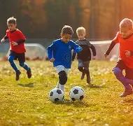 警惕两案例,警示,常见骗局不,星力捕鱼平台,星力十代捕鱼游戏,正版星力捕鱼,星力捕鱼app