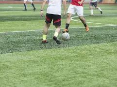 杨瀚森创,生涯最佳表,期待更多登,星力捕鱼平台,星力十代捕鱼游戏,正版星力捕鱼,星力捕鱼app