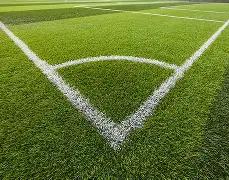 多特欲加强,边卫阵容,聚勒等三位,星力捕鱼平台,星力十代捕鱼游戏,正版星力捕鱼,星力捕鱼app