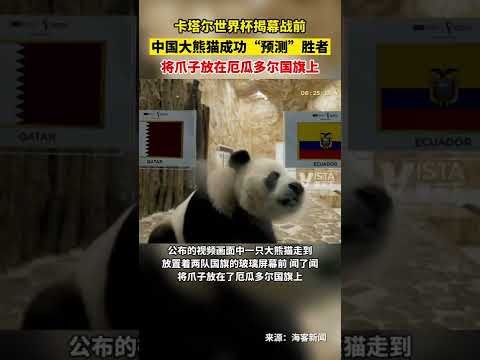 星力捕鱼游,戏平台,资讯,星力捕鱼平台,星力十代捕鱼游戏,正版星力捕鱼,星力捕鱼app